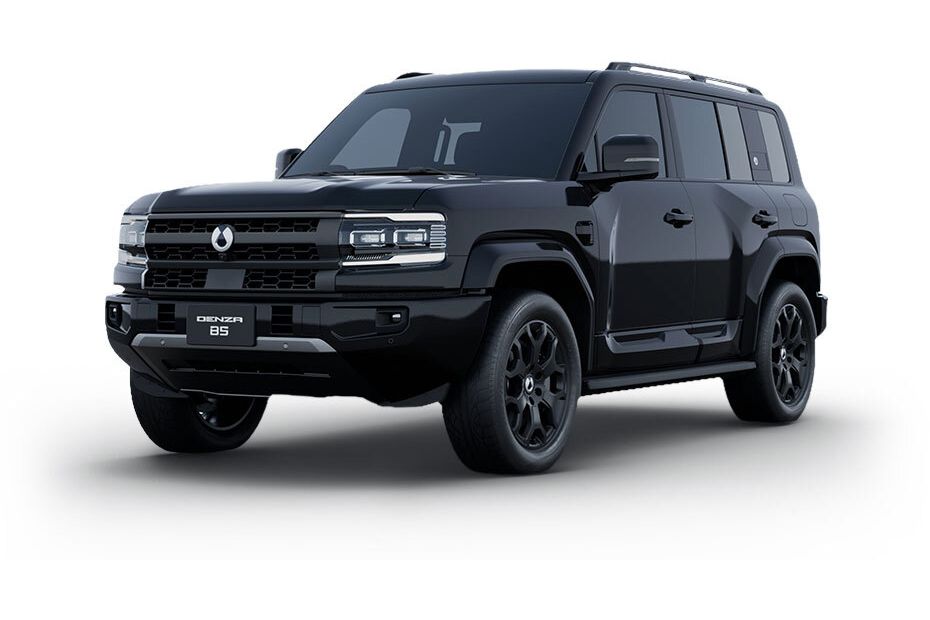 دينزا بي 5 Shadow Black