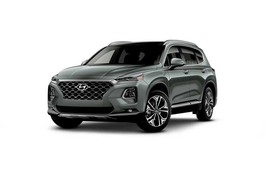 Hyundai SantaFe (2022-2023) Rainforest Hyundai SantaFe (2022-2023) Rainforest