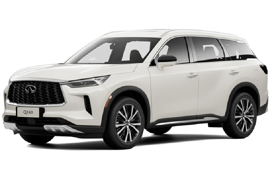 Infiniti QX60 Majestic White Infiniti QX60 Majestic White