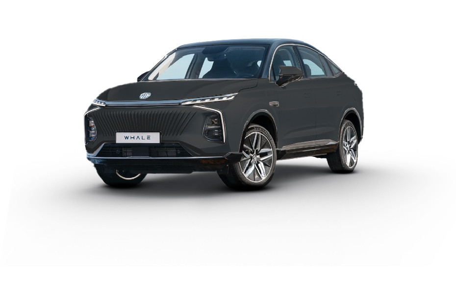 MG Whale Dark Grey MG Whale Dark Grey