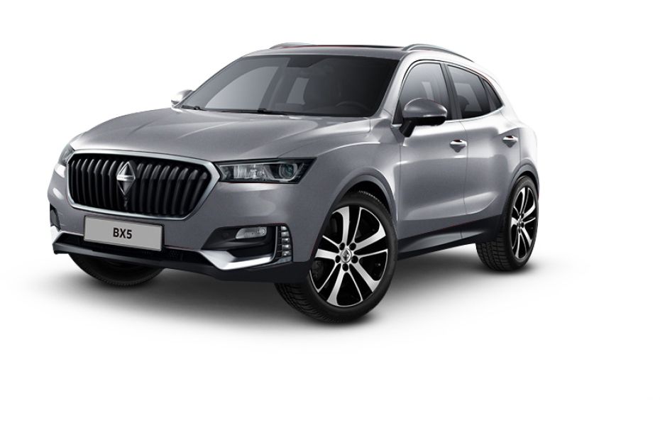 بورجوارد BX5 فضة بورجوارد BX5 فضة