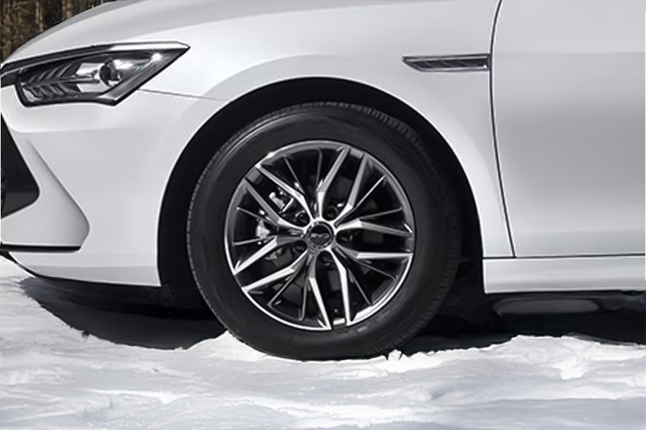 كين بلس Wheel كين بلس Wheel