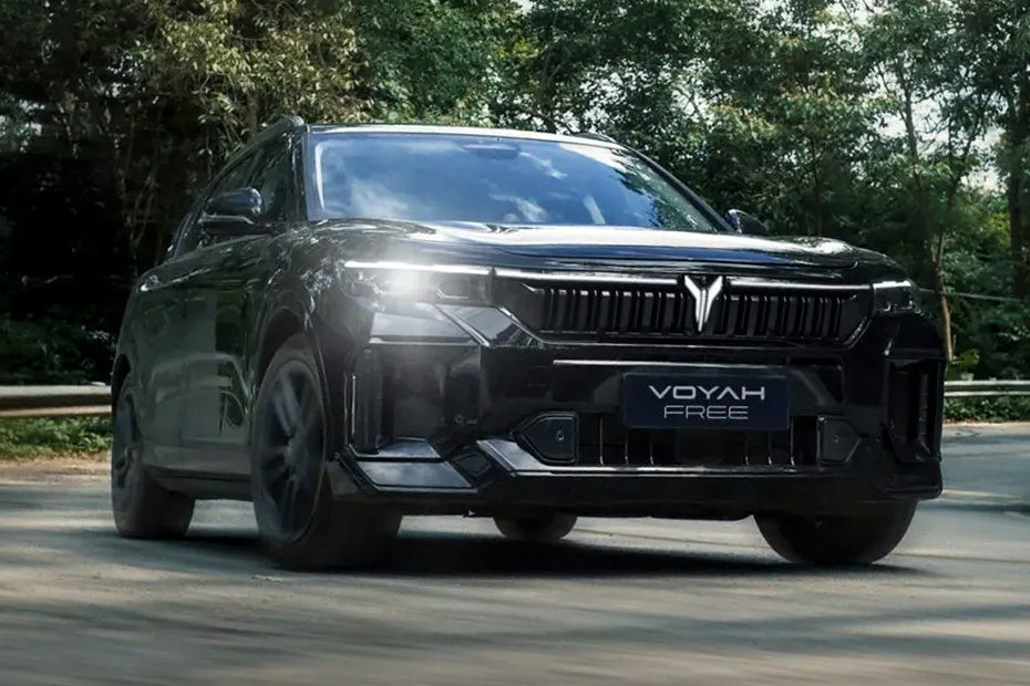 Free Medium Angle Front View