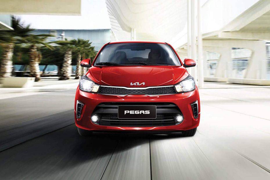 Full Front View of Pegas Full Front View of Pegas