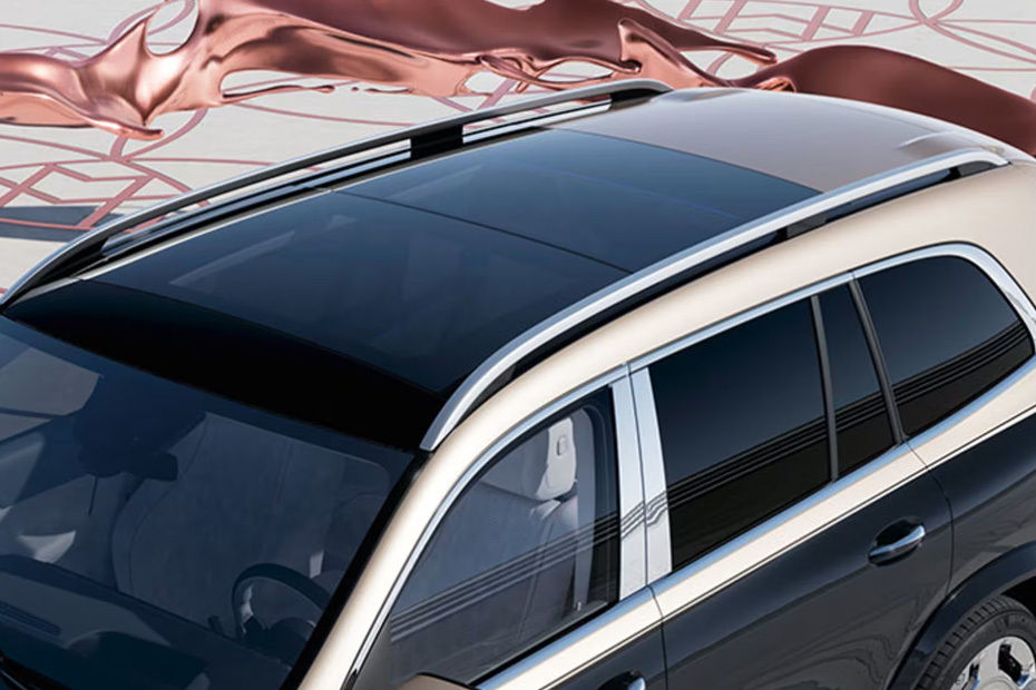مايباخ جي إل إس roof rail