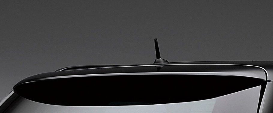 Paceman Roof Antenna Paceman Roof Antenna