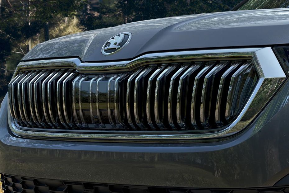 Kodiaq Grille View Kodiaq Grille View