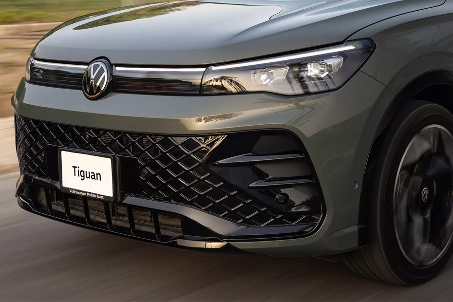 Tiguan Grille View Tiguan Grille View