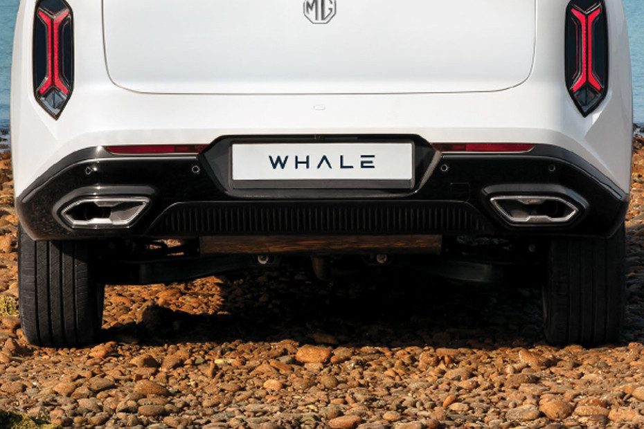 Whale Wheel Whale Wheel