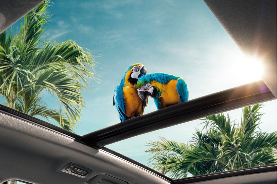 Chery Tiggo 7 Pro Sunroof Moonroof Chery Tiggo 7 Pro Sunroof Moonroof
