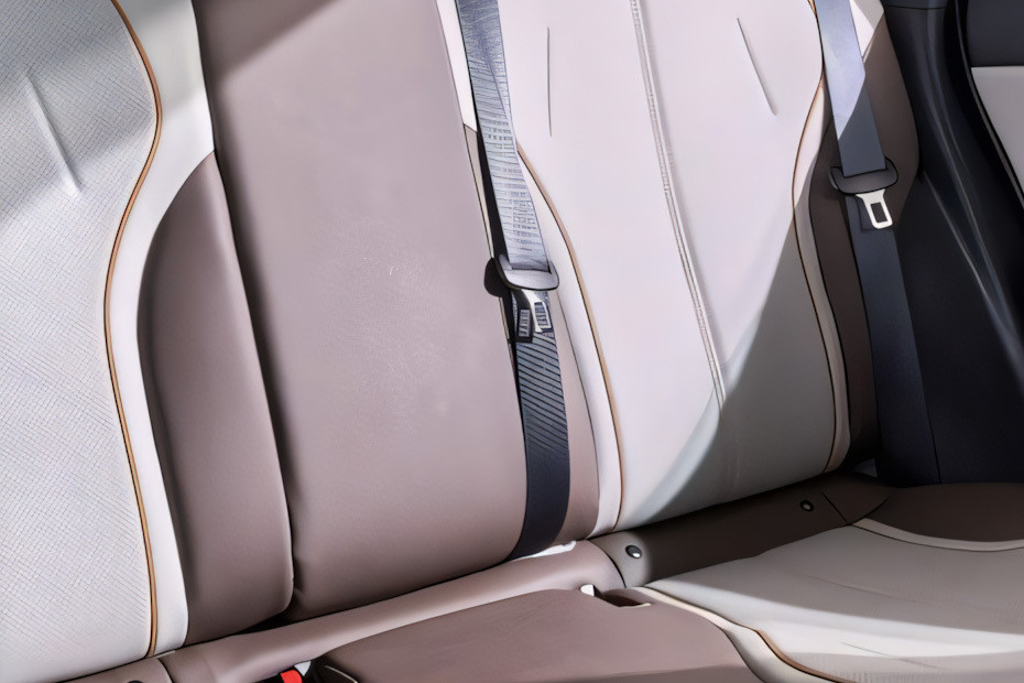 كين بلس Seat Belt كين بلس Seat Belt