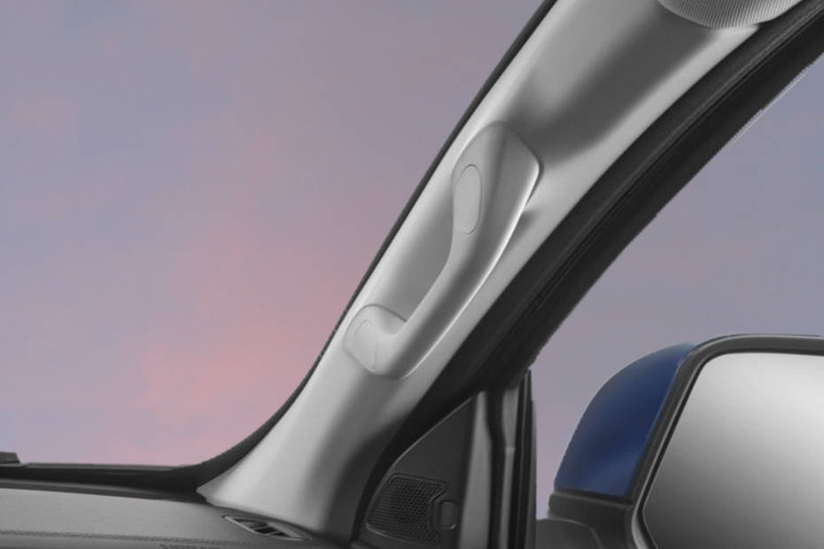 GWM Poer Inside Handle GWM Poer Inside Handle