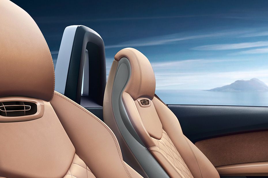 TT Roadster Front Seat Headrest TT Roadster Front Seat Headrest