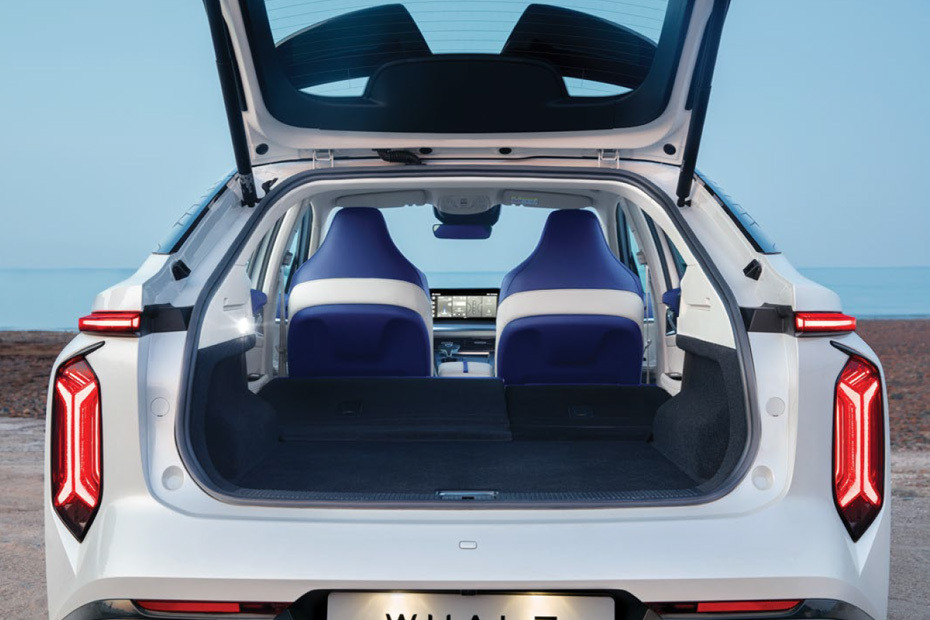 Folding Seats of MG Whale Folding Seats of MG Whale