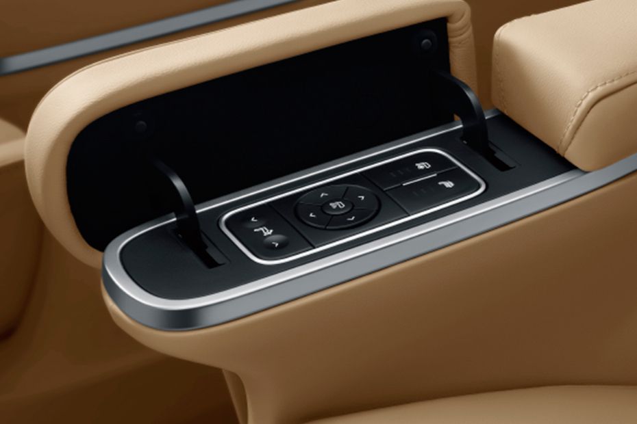 GAC GN8 Drivers Side In Side Door Controls GAC GN8 Drivers Side In Side Door Controls