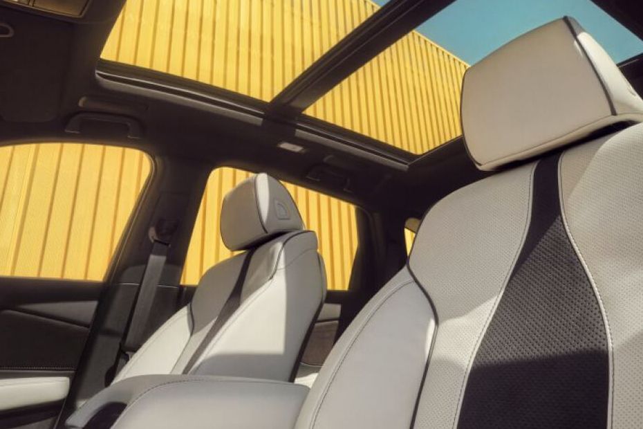 RDX Front Seat Headrest RDX Front Seat Headrest