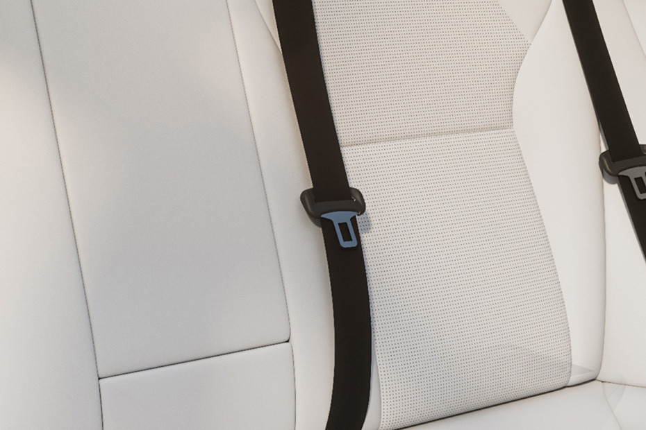 Model 3 Seat Belt Model 3 Seat Belt