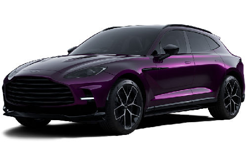 Storm Purple