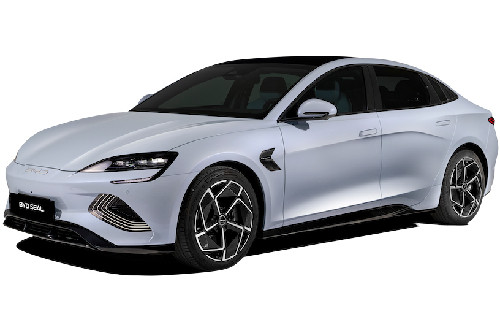 Rosemary Grey Rosemary Grey