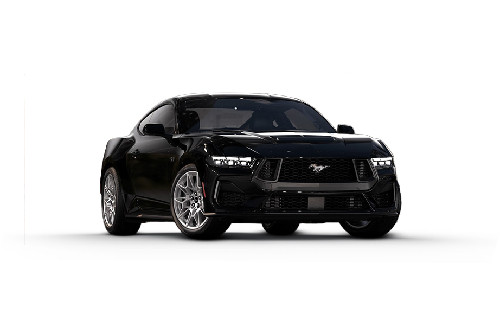 Shadow Black