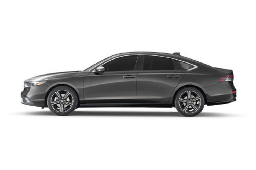 Meteortie Gray Metallic