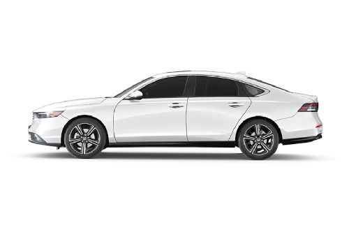 Platinum White Pearl