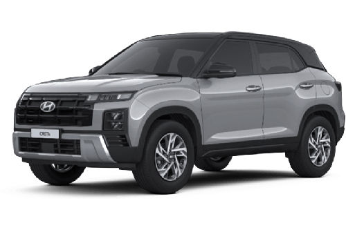 Magnetic Silver Metalic Black Roof