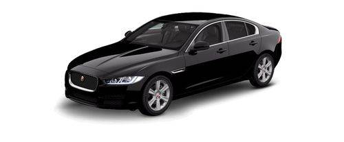 Ebony Black
