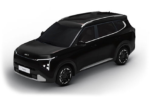 Aurora Black Pearl