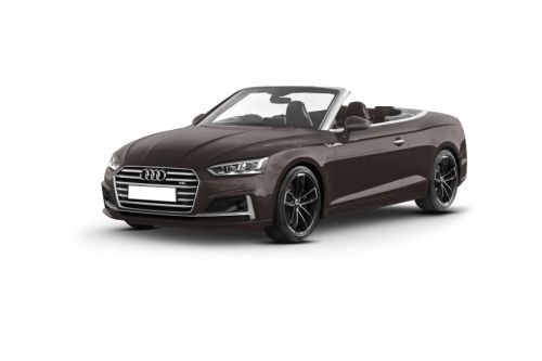 Argus Brown Metallic