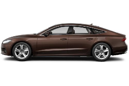 Teak Brown Metallic