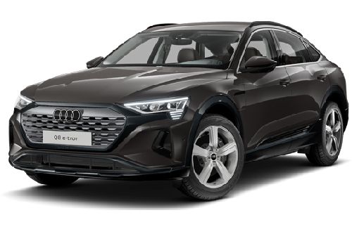 Terra Grey Metallic
