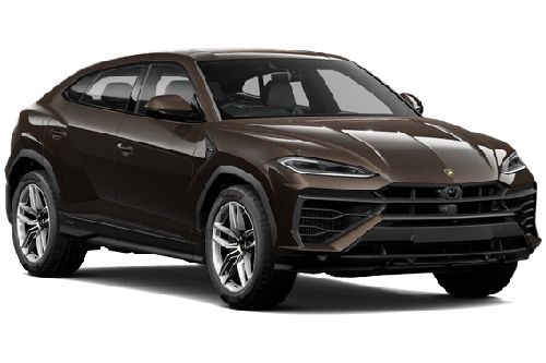 Marron Black