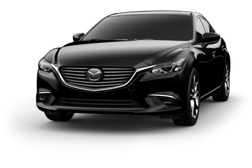 Jet Black Mica