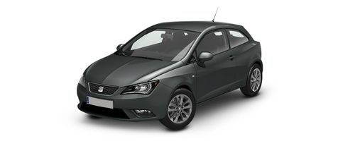 Pirineos Grey