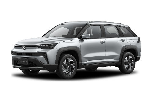 Splendid Silver Pearl Metallic