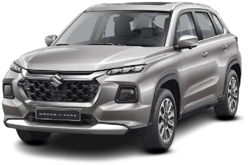 Splendid Silver Pearl Metallic