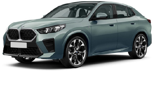 Cape York Grey