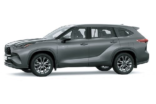 Gray Mica Metallic