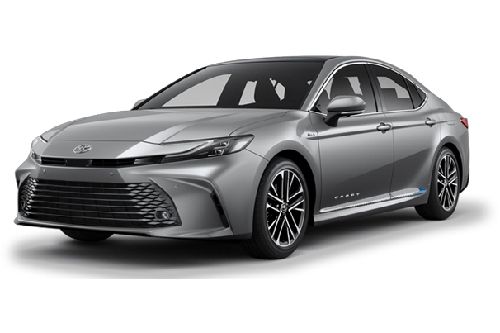 Metal Grey Metallic