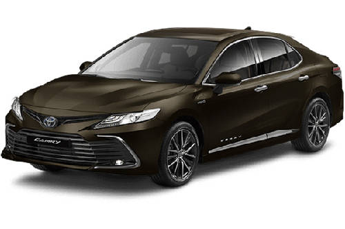 Graphite Metallic
