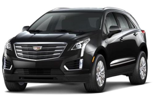 Stellar Black Metallic