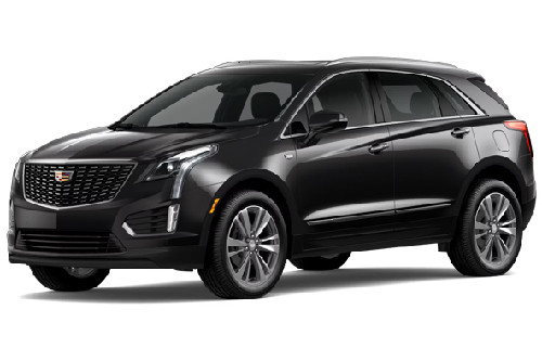 Stellar Black Metallic