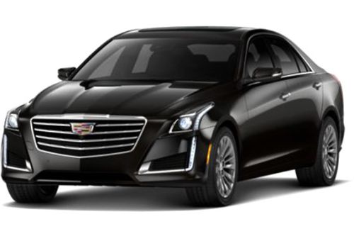 Stellar Black Metallic