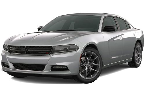 Gray Mica Metallic