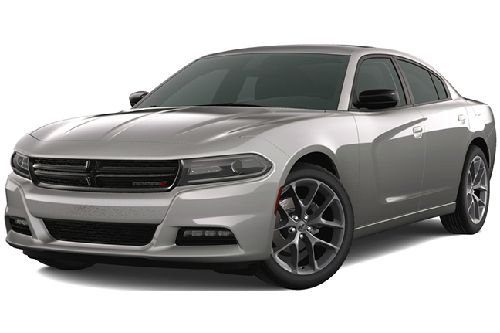 Gray Metallic