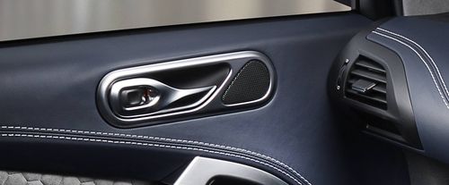 Cygnet Door handle