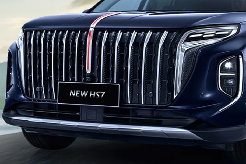 Hs7 Grille View