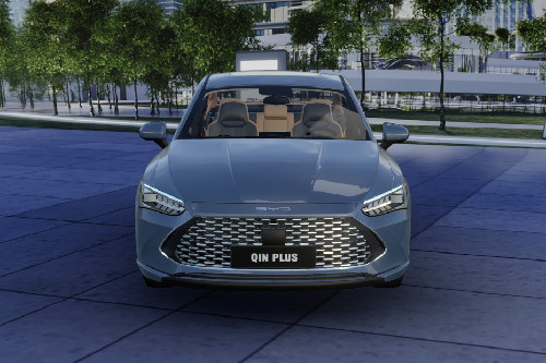 Full Front View of كين بلس