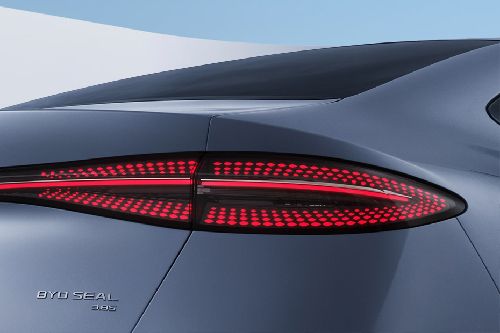 Seal Tail light